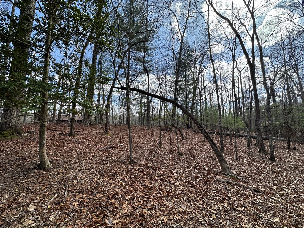 Lot 20 Black Oak Road Cherry Log, GA 30522 - Photo 4 of 46