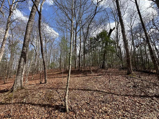 $79,900 | Lot 20 Black Oak Road, Cherry Log, GA 30522