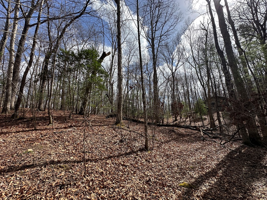 Lot 20 Black Oak Road Cherry Log, GA 30522 - Photo 43 of 46