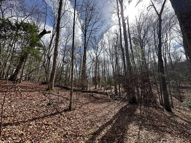 $79,900 | Lot 20 Black Oak Road, Cherry Log, GA 30522