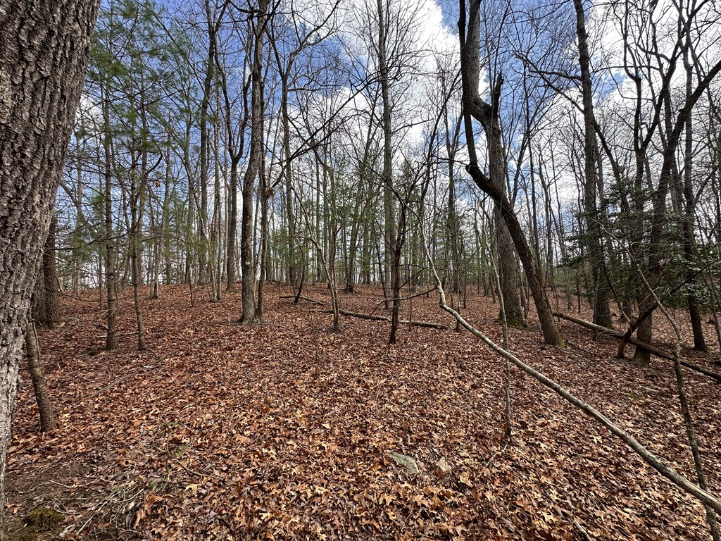 Lot 20 Black Oak Road Cherry Log, GA 30522 - Photo 45 of 46