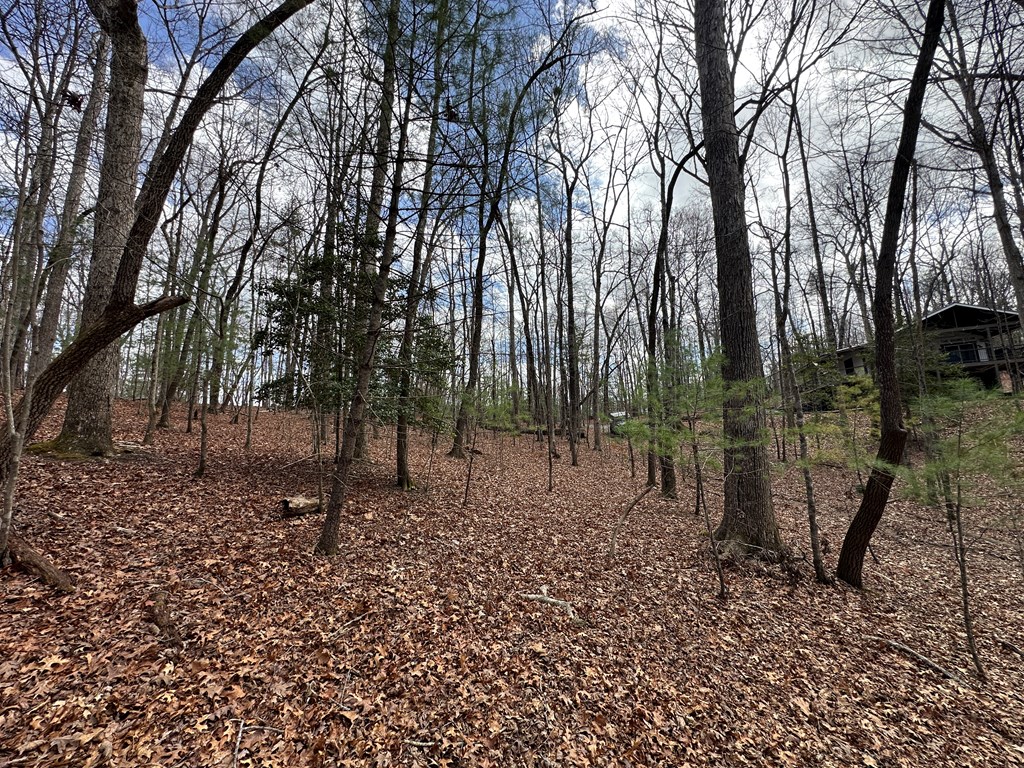 Lot 20 Black Oak Road Cherry Log, GA 30522 - Photo 46 of 46