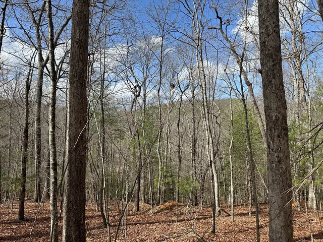 $79,900 | Lot 20 Black Oak Road, Cherry Log, GA 30522
