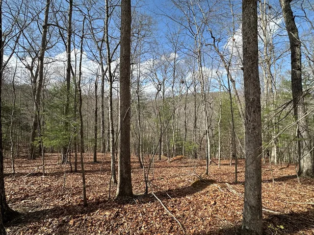 $79,900 | Lot 20 Black Oak Road, Cherry Log, GA 30522