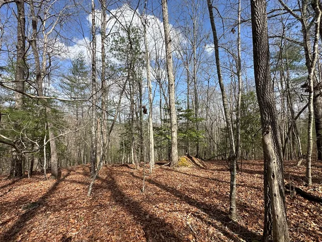 $79,900 | Lot 20 Black Oak Road, Cherry Log, GA 30522