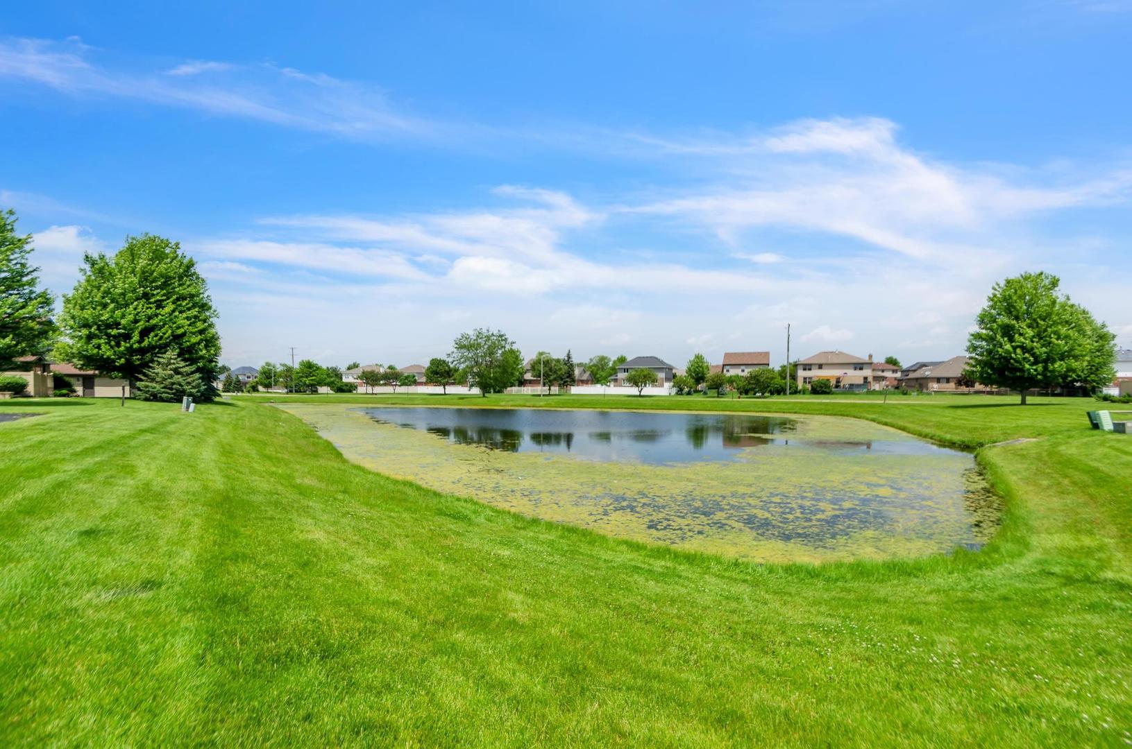 722 Sojourn Road New Lenox, IL 60451 - Photo 23 of 23 a view of a lake with a yard