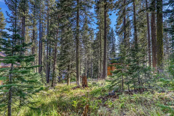 $89,000 | 51207 Jeffery Pine Drive, Soda Springs, CA 95728