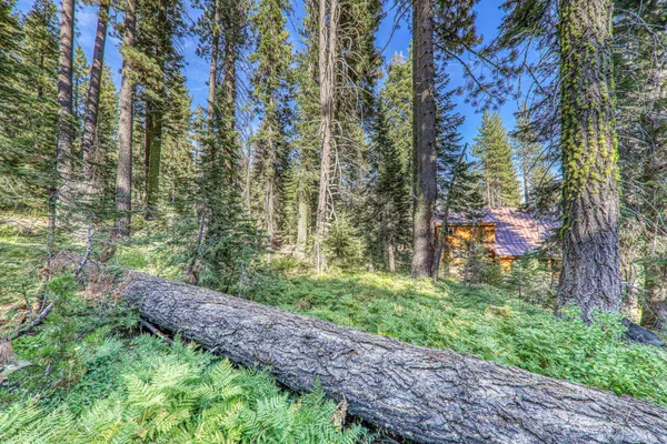 $89,000 | 51207 Jeffery Pine Drive, Soda Springs, CA 95728