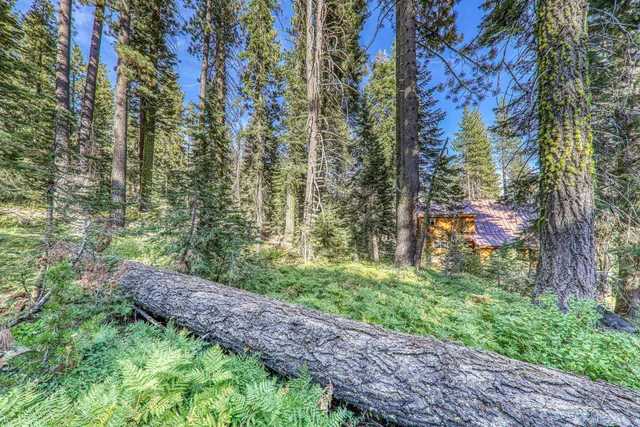 a view of backyard with green space
