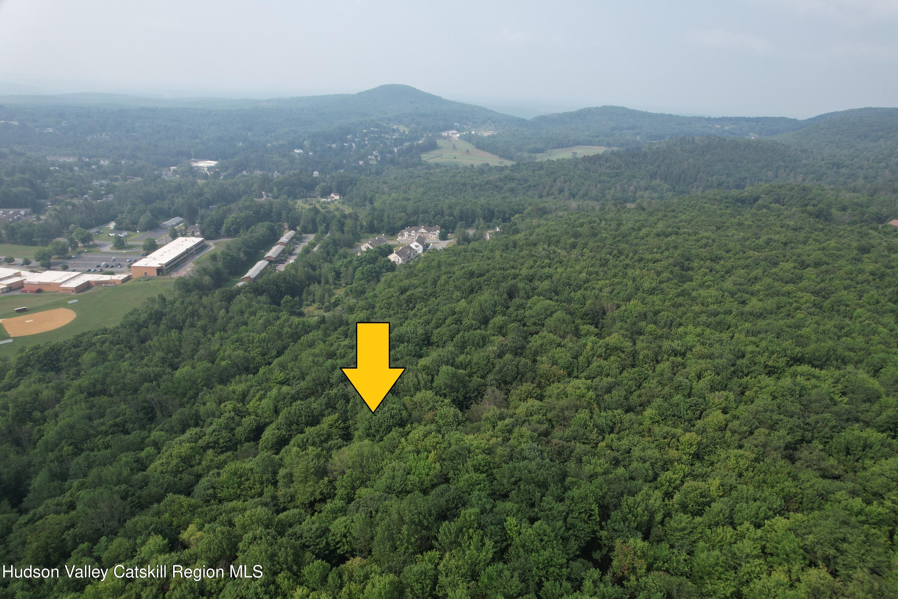 0 Timberwolf Road Liberty, NY 12754 - Photo 22 of 27 DJI_0195 a
