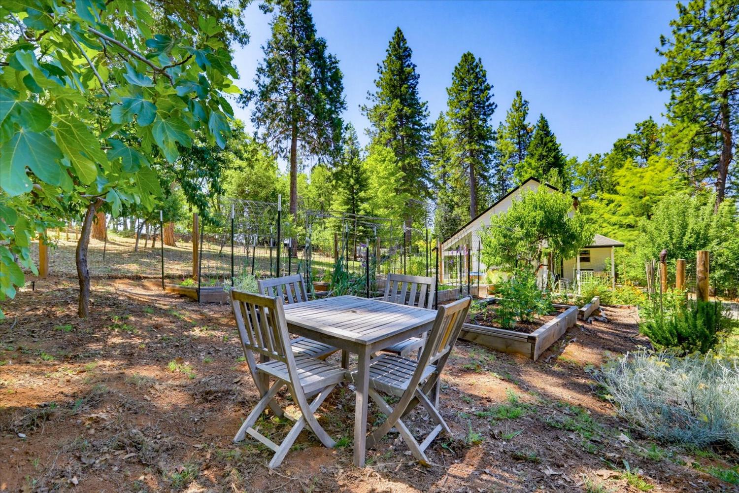 14381 Sunrock Road Nevada City, CA 95959 - Photo 69 of 88