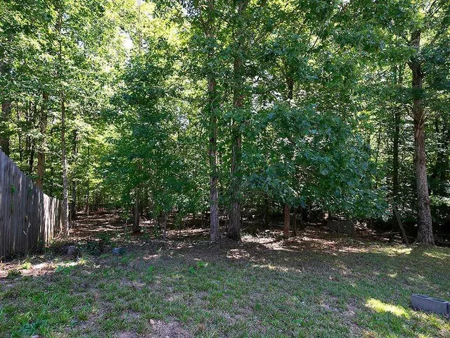 a view of backyard with green space