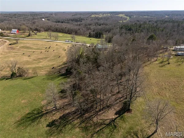 $299,000 | 20305 Pigeon Creek Road, Licking, MO 65542