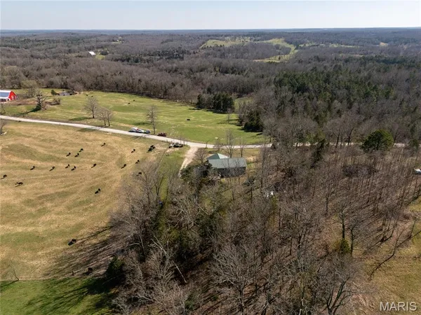 $299,000 | 20305 Pigeon Creek Road, Licking, MO 65542