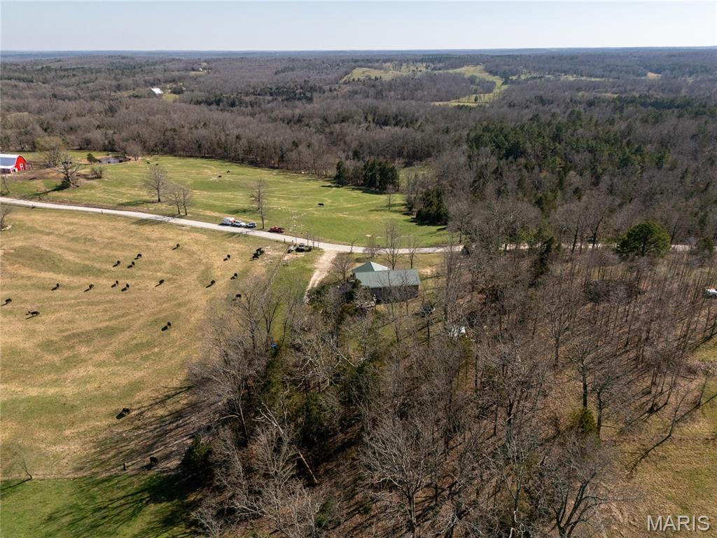 20305 Pigeon Creek Road Licking, MO 65542 - Photo 40 of 43