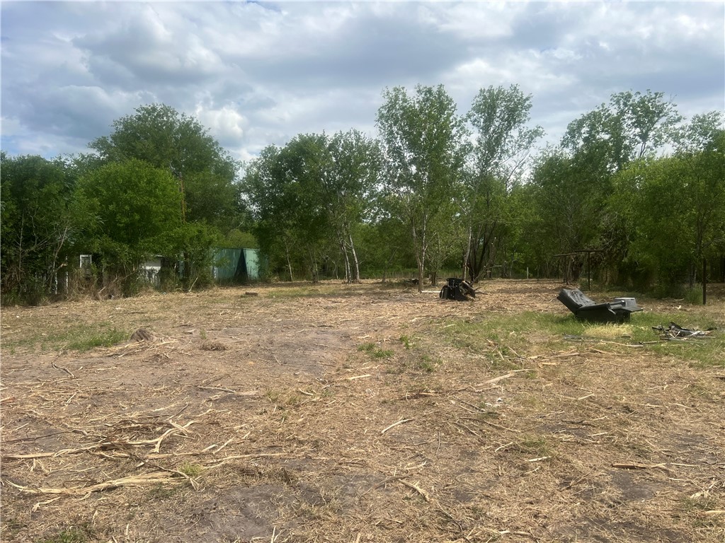 283 N Shore Mathis, TX 78368 - Photo 2 of 10