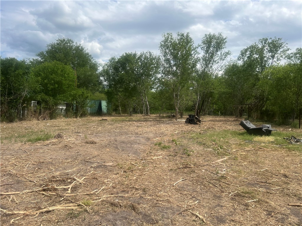 283 N Shore Mathis, TX 78368 - Photo 3 of 10