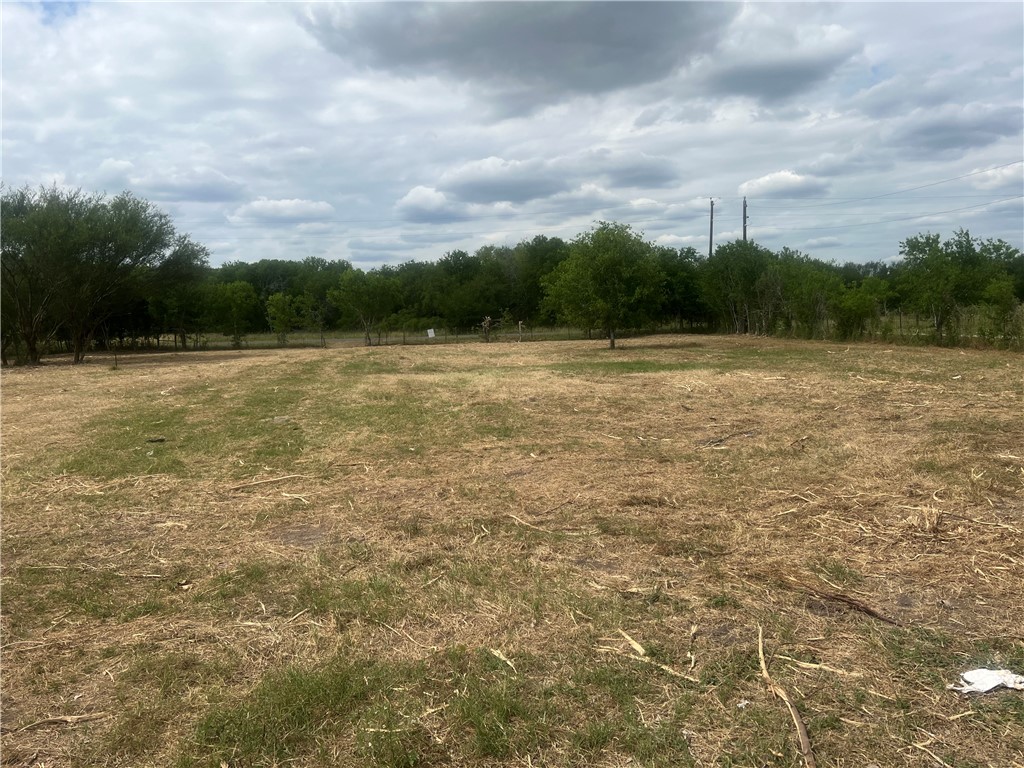 283 N Shore Mathis, TX 78368 - Photo 4 of 10