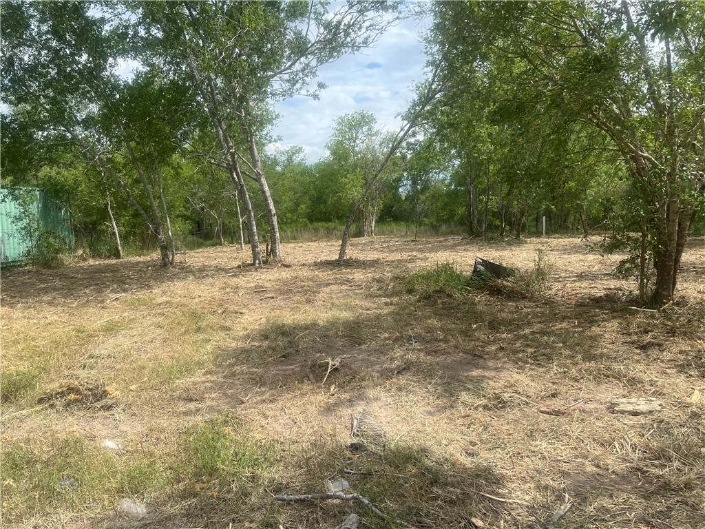 283 N Shore Mathis, TX 78368 - Photo 5 of 10