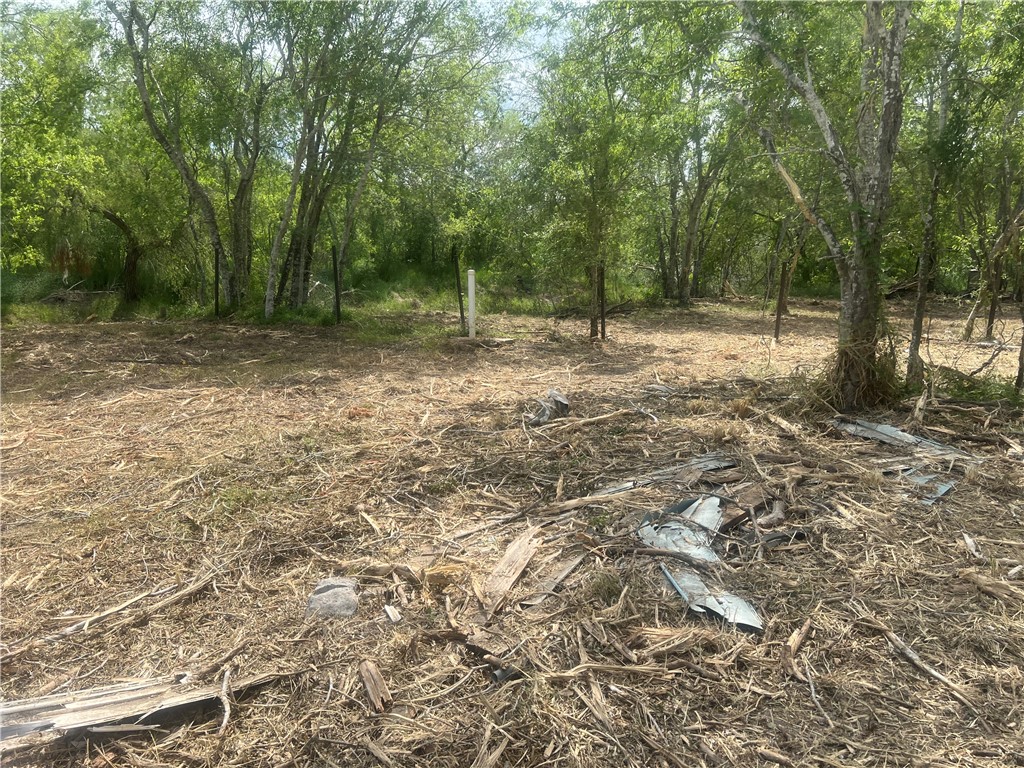 283 N Shore Mathis, TX 78368 - Photo 6 of 10