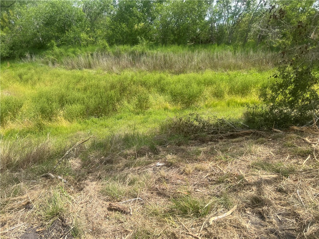 283 N Shore Mathis, TX 78368 - Photo 7 of 10