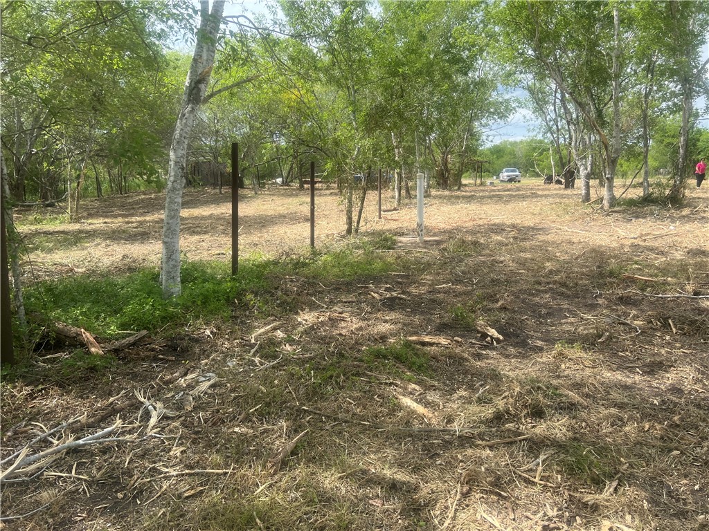 283 N Shore Mathis, TX 78368 - Photo 9 of 10