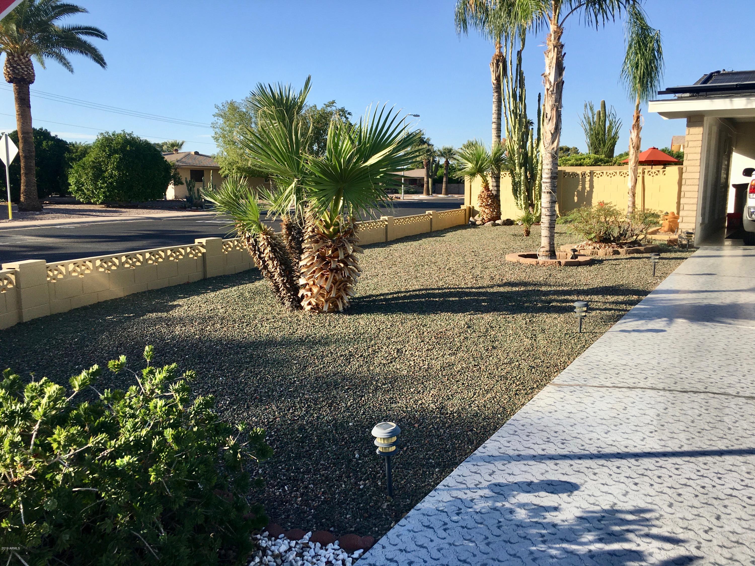 5402 East Decatur Street Mesa, AZ 85205 - Photo 4 of 37 a view of a yard with palm trees