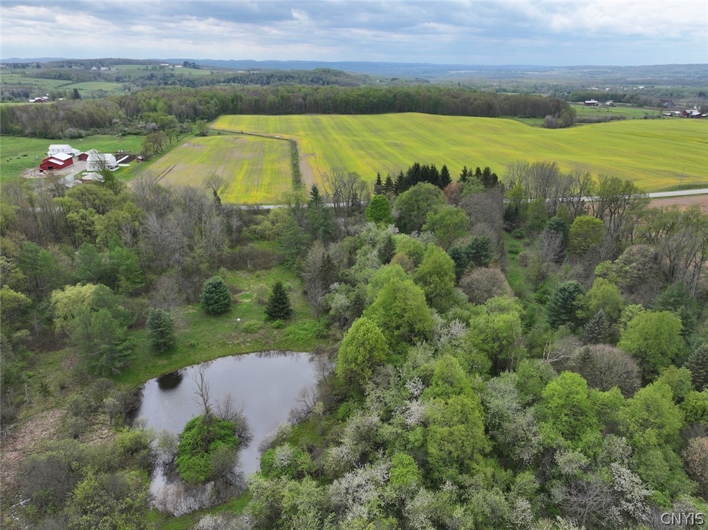 Youngs Road Conewango Valley, NY 14726 - Photo 6 of 32 Gallery Image 6