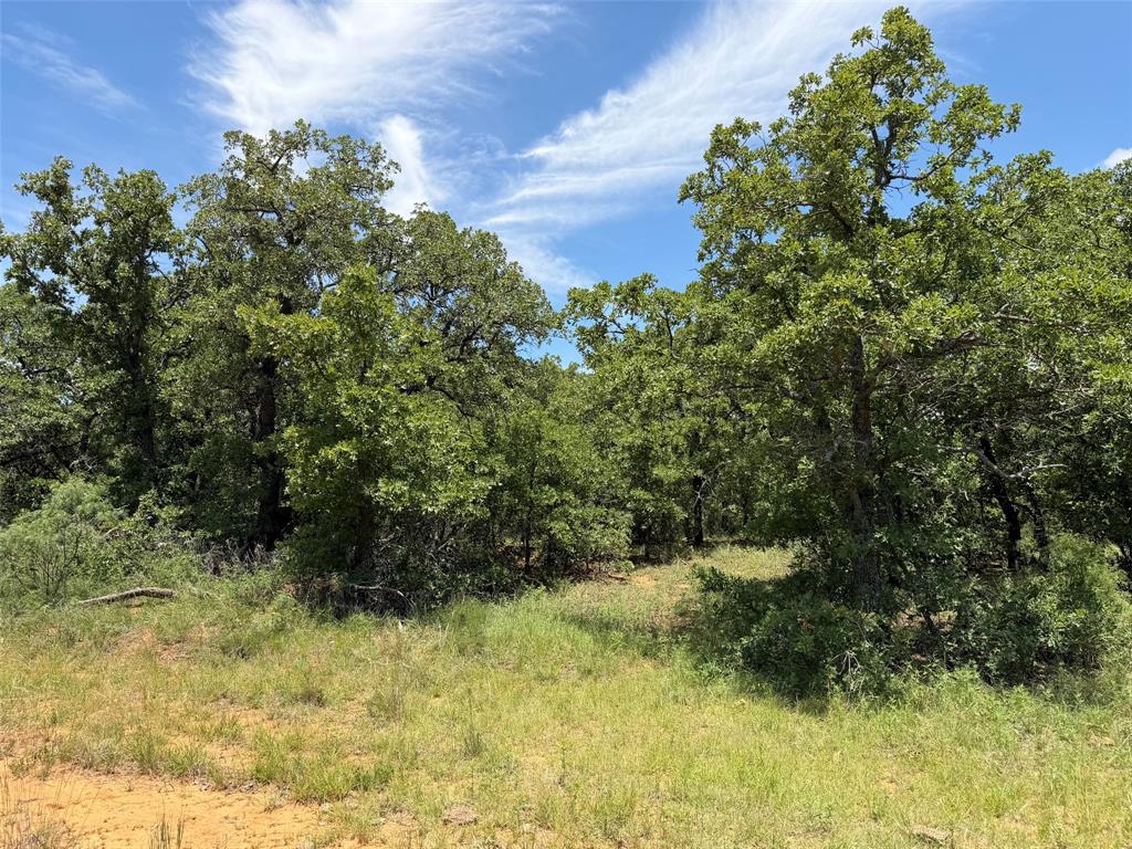 0 Rux Road Olney, TX 76374 - Photo 11 of 12 a view of a yard