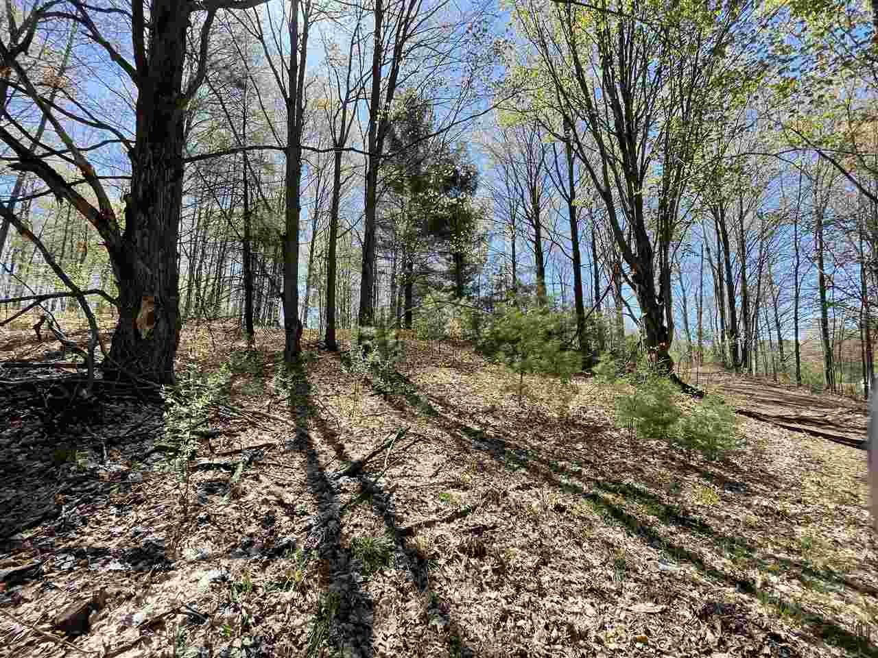 10-acres Inman Road Southwest Fife Lake, MI 49633 - Photo 11 of 32 Gallery Image 11