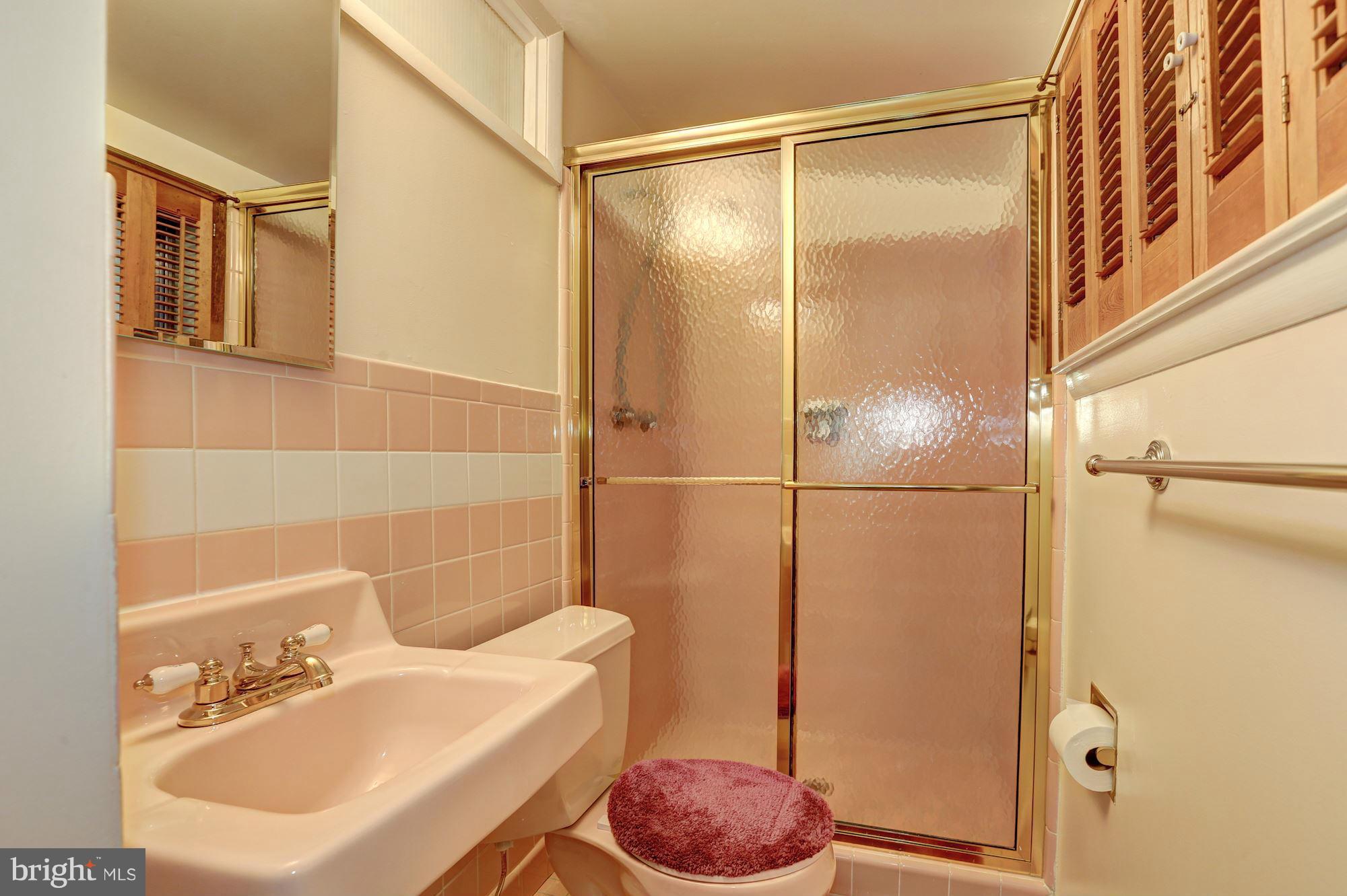 119 Bluff Terrace Silver Spring, MD 20902 - Photo 17 of 30 Bath (Master)