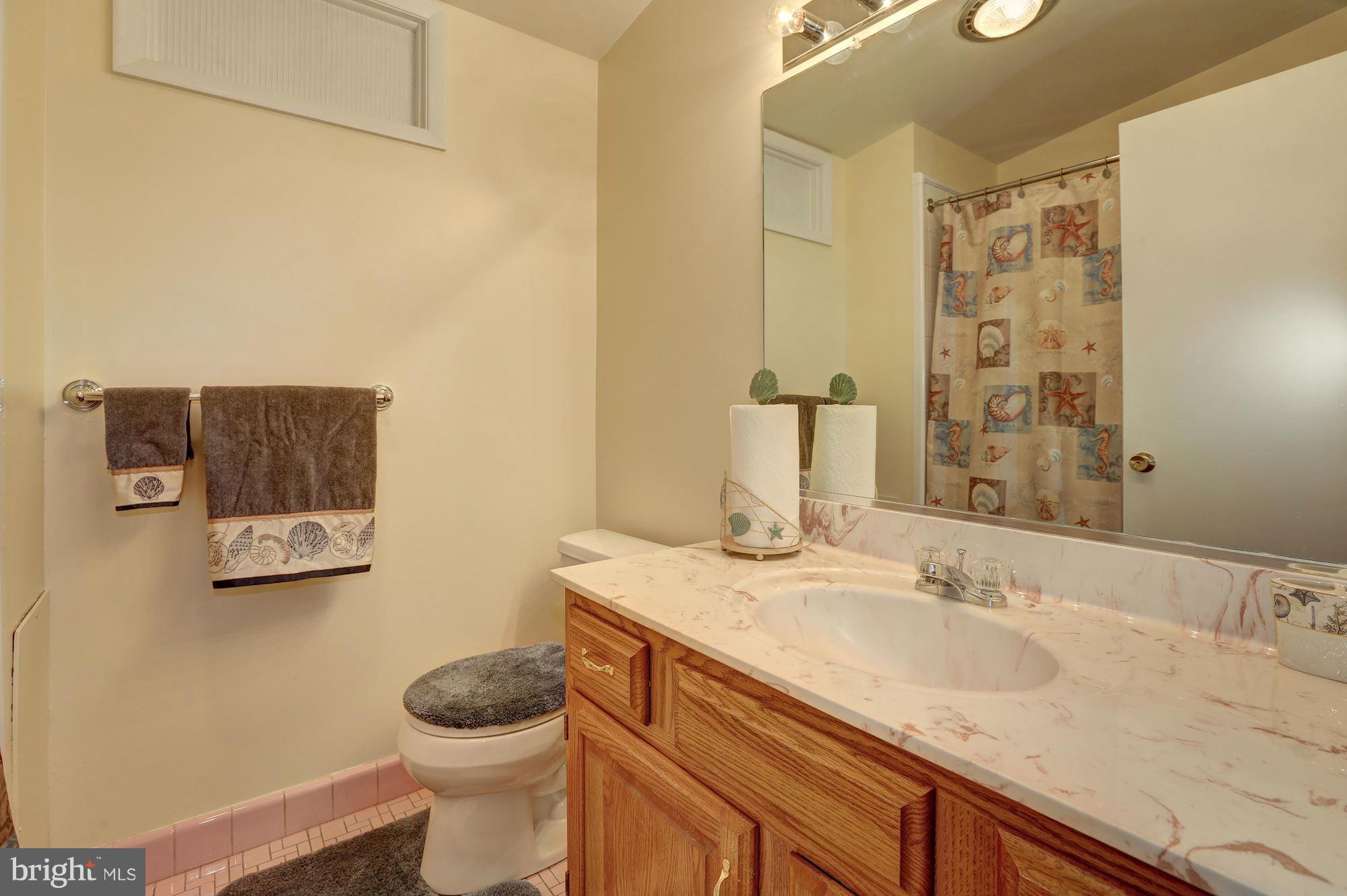 119 Bluff Terrace Silver Spring, MD 20902 - Photo 20 of 30 Bath
