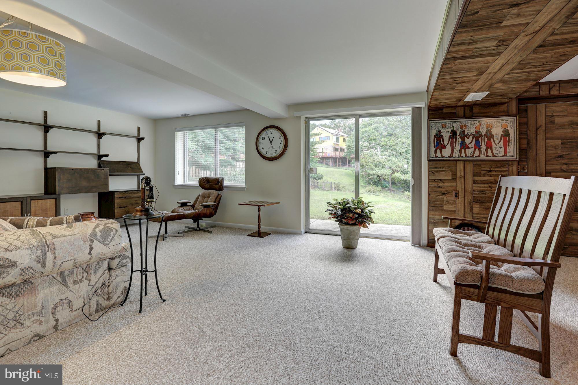 119 Bluff Terrace Silver Spring, MD 20902 - Photo 21 of 30 Basement