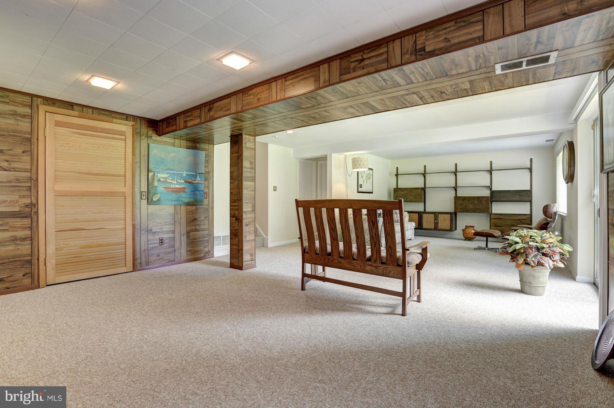 119 Bluff Terrace Silver Spring, MD 20902 - Photo 23 of 30 Basement