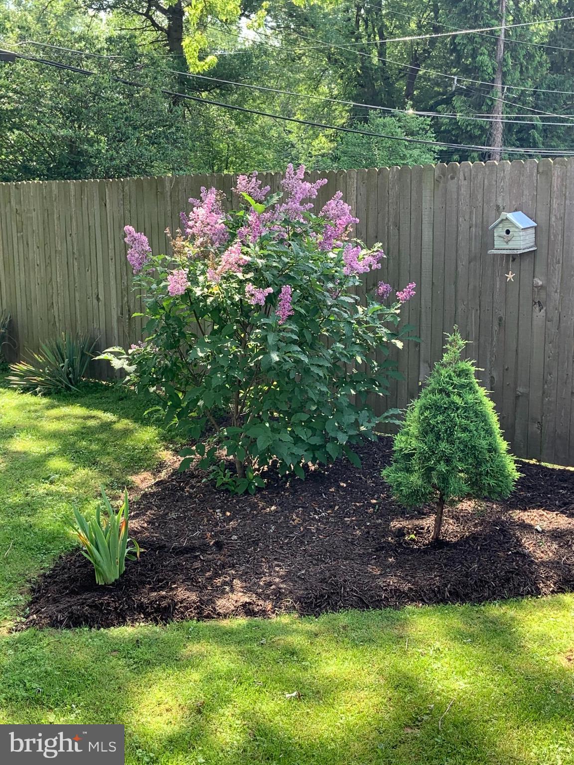 223 West County Line Road Hatboro, PA 19040 - Photo 33 of 38 Backyard in bloom