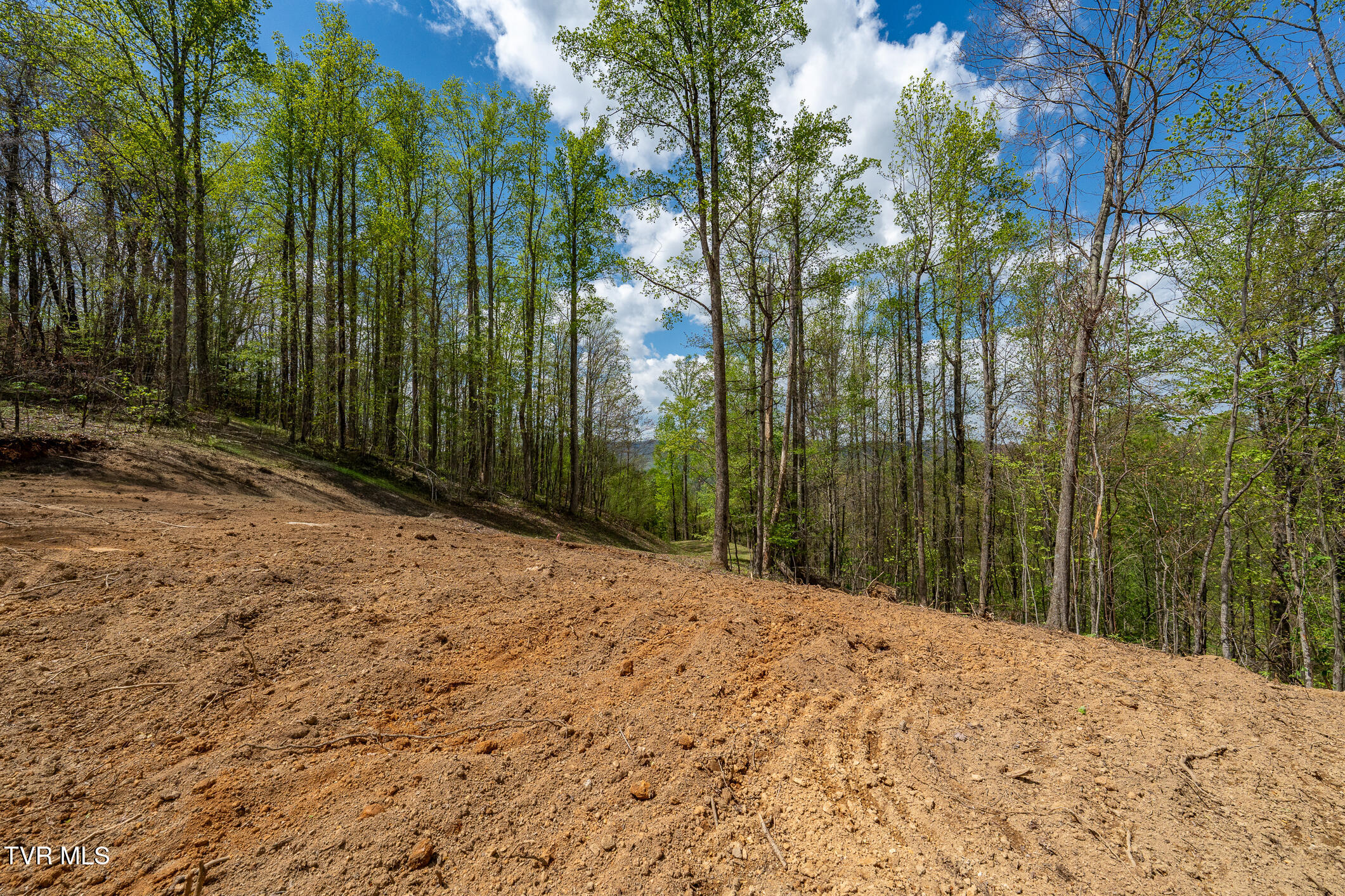 1 Ridge Top Lane, Unit 1 Hampton, TN 37658 - Photo 2 of 35 TBD Sunset Ridge (18 of 38)
