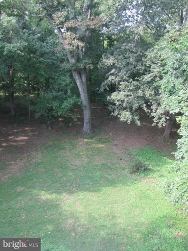 142 Falling Spring Road Shepherdstown, WV 25443 - Photo 19 of 27 a view of a forest