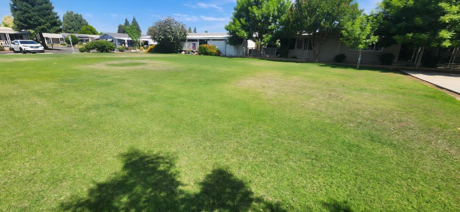 1300 West Olson Avenue, Unit 155 Reedley, CA 93654 - Photo 9 of 44