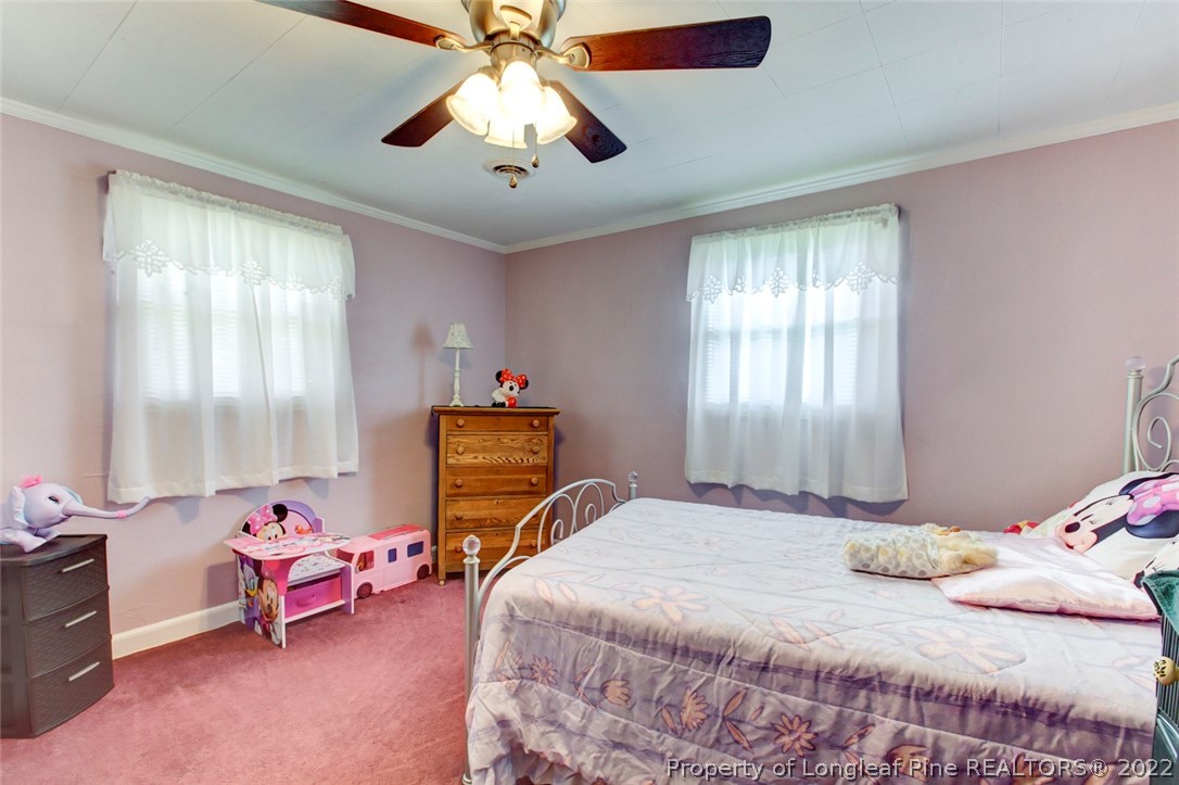 81 McNeil Mill Road Broadway, NC 27505 - Photo 19 of 32 Gallery Image 19