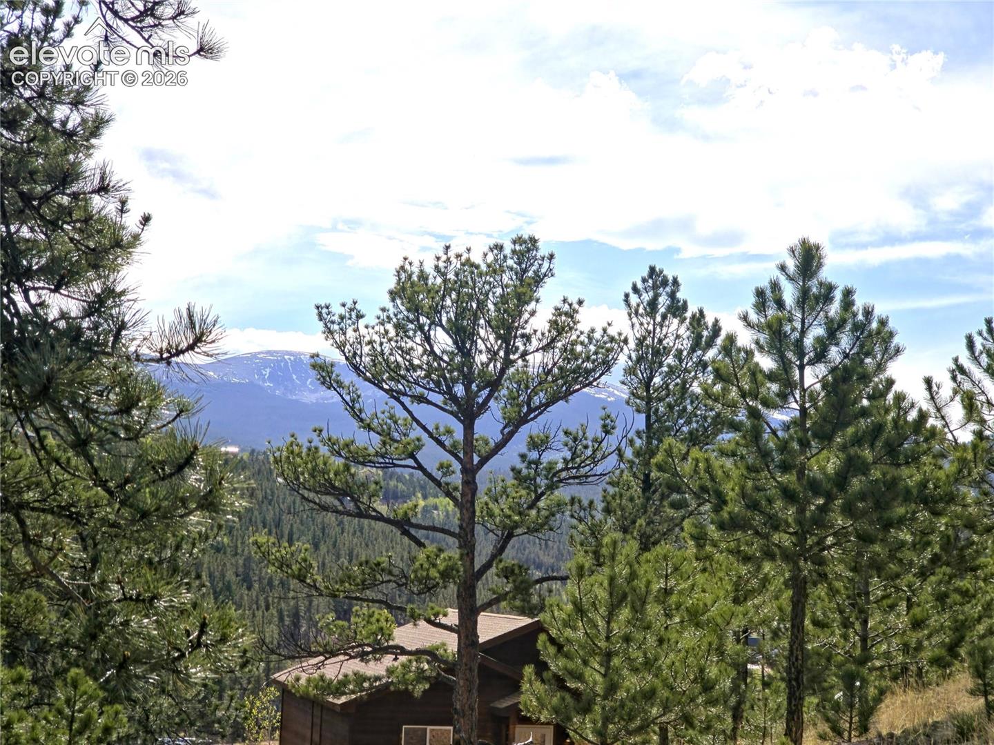 226 Hall Road Bailey, CO 80421 - Photo 21 of 37 Rosalie Peak