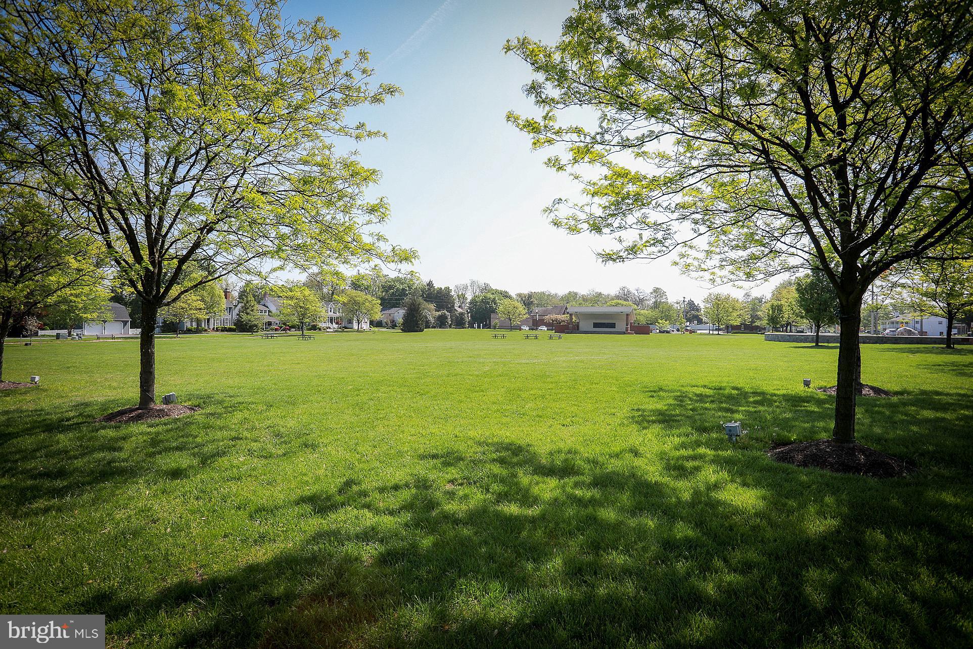 17305 Hoskinson Road Poolesville, MD 20837 - Photo 67 of 81 a view of a garden with a tree