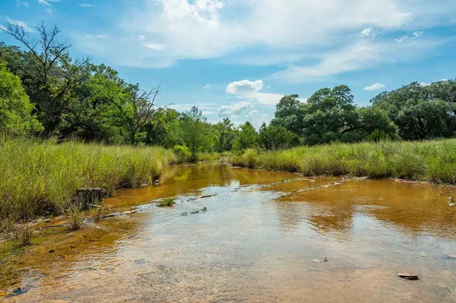 a view of a lake with a yard
