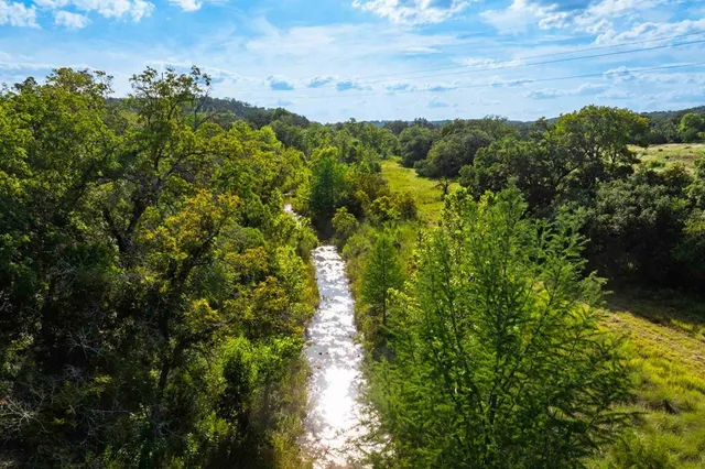 a view of a bunch of trees and bushes
