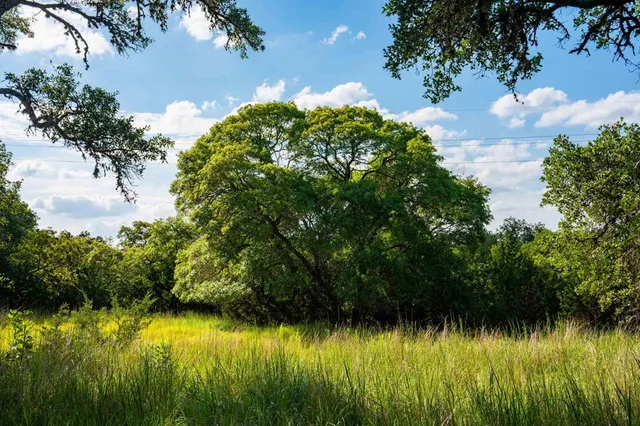 a view of swimming pool from a yard