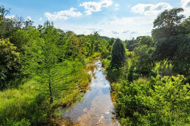 a view of a pathway both side of yard