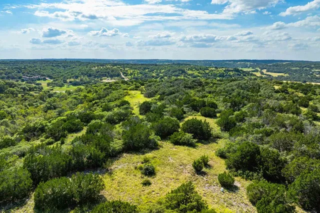 a view of a bunch of trees and houses