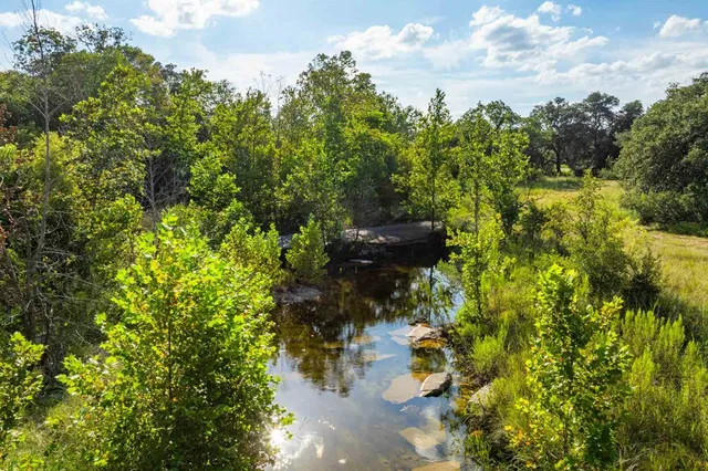 a view of a yard with plants