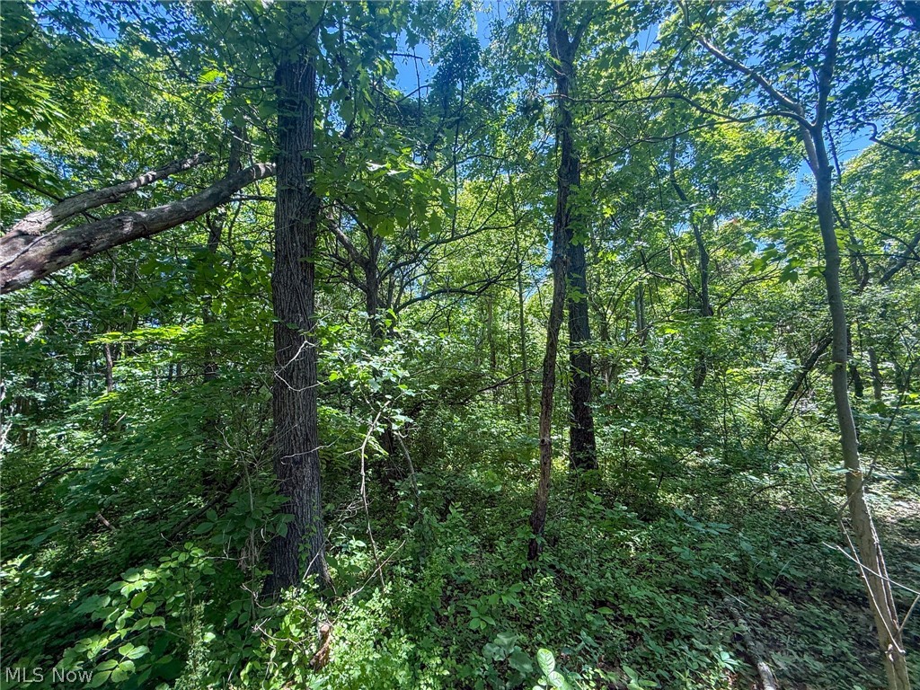 Keffer Road Stockport, OH 43787 - Photo 23 of 25