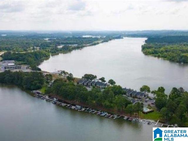 404 Paradise Isle, Unit 404 Riverside, AL 35135 - Photo 1 of 45