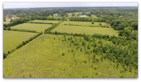 $450,000 | 0 Robinson Bridge Road, Lecompte, LA 71346